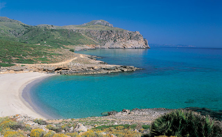 pescaturismemallorca.com excursions en vaixell a Arenalet Mallorca