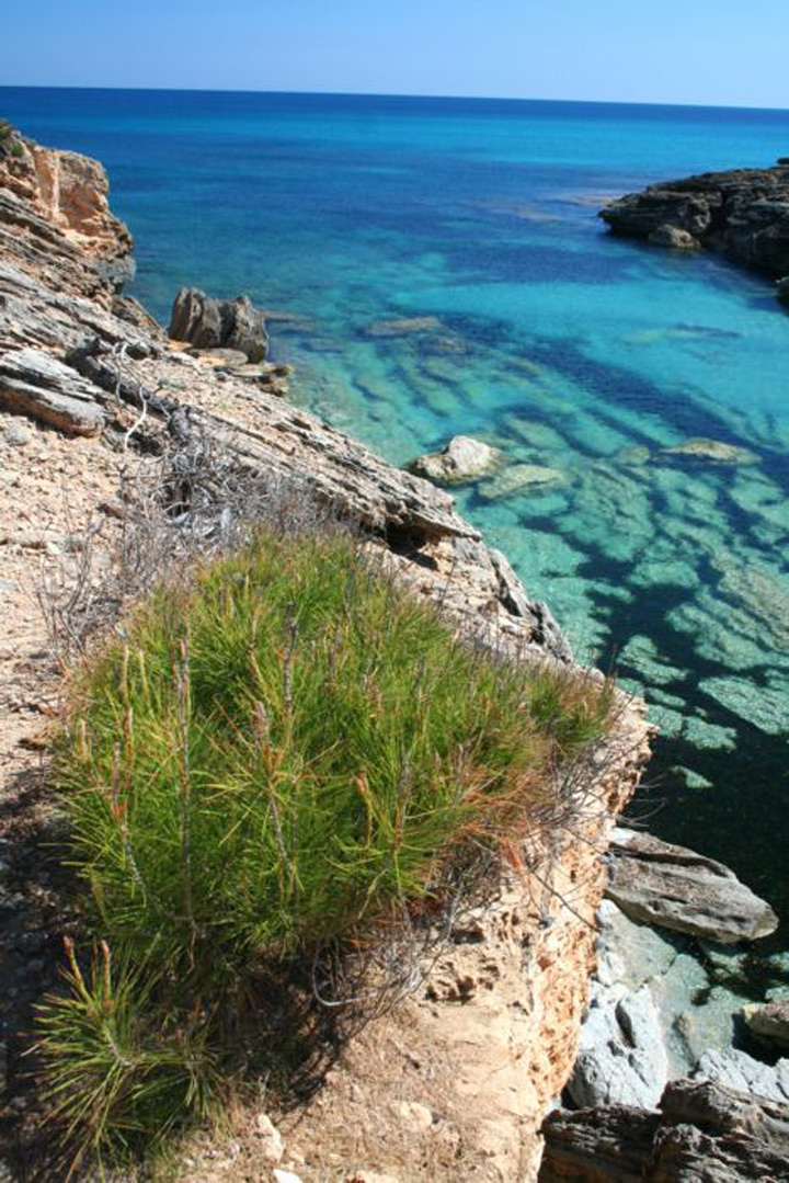 pescaturismemallorca.com excursions en vaixell a Cala Estreta Mallorca