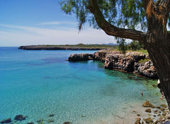 pescaturismemallorca.com excursions en vaixell a Cala Morlanda Mallorca