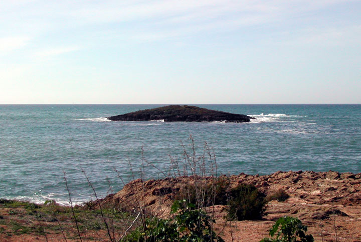 pescaturismemallorca.com excursions en vaixell Illot sa Galera Mallorca