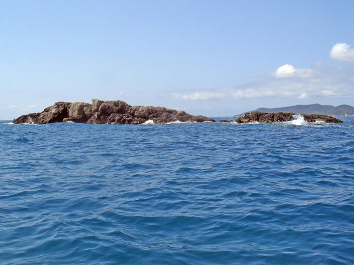 pescaturismemallorca.com excursions en vaixell Illot sa Galera Mallorca
