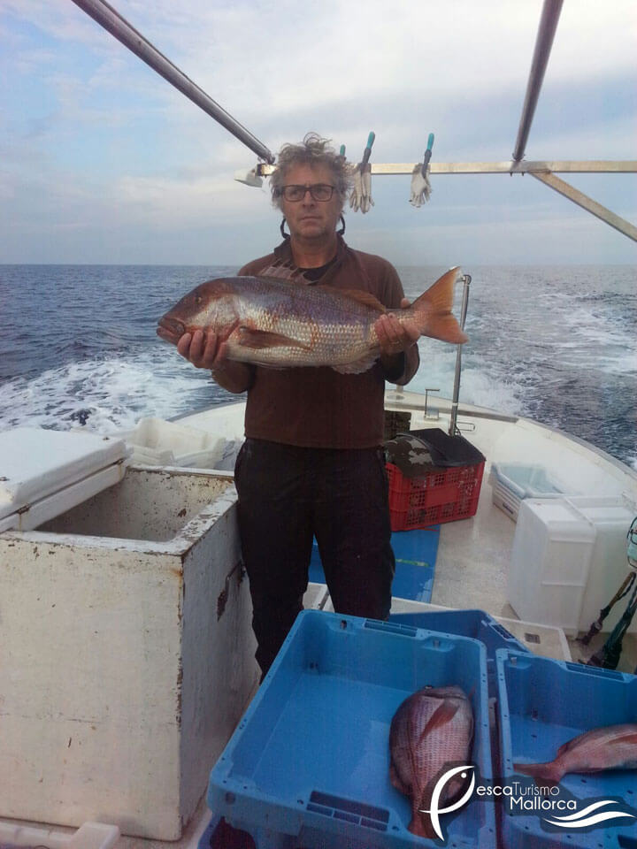 pescaturismemallorca.com excursions en vaixell a Mallorca amb Hispaniola