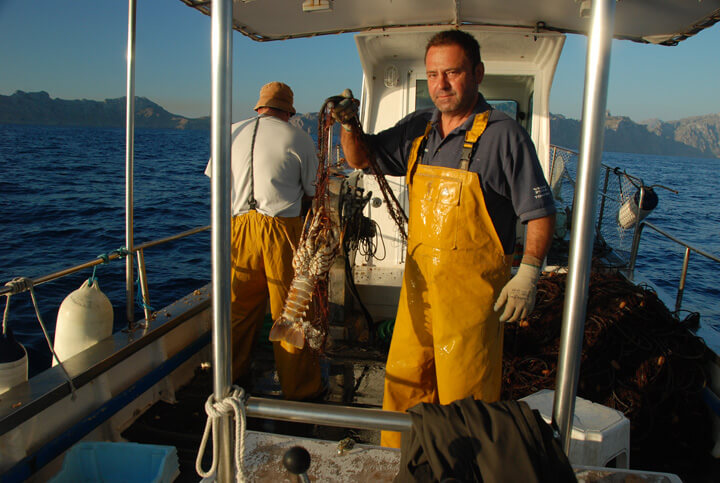pescaturismemallorca.com excursions en vaixell en Mallorca amb Suau