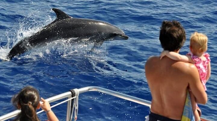 www.pescaturismemallorca.com Excursió per veure dofins des de Porto Cristo