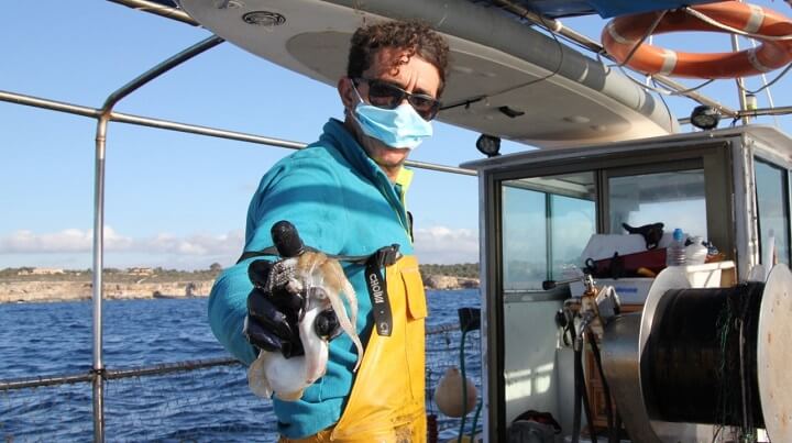 www.pescaturismemallorca.com excursions de pesca a Porto Cristo amb Roca